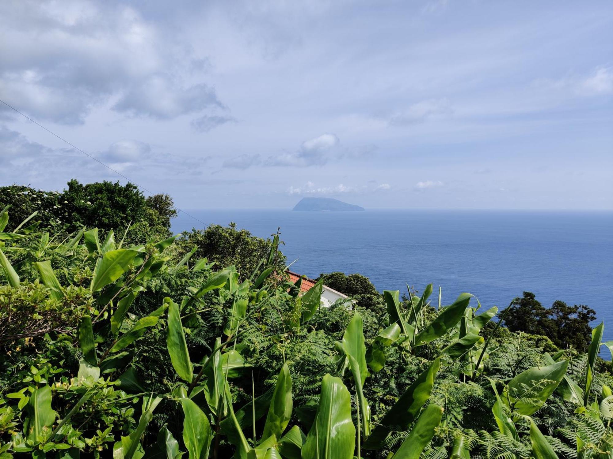 Ocean View Cedros Βίλα Santa Cruz das Flores Εξωτερικό φωτογραφία